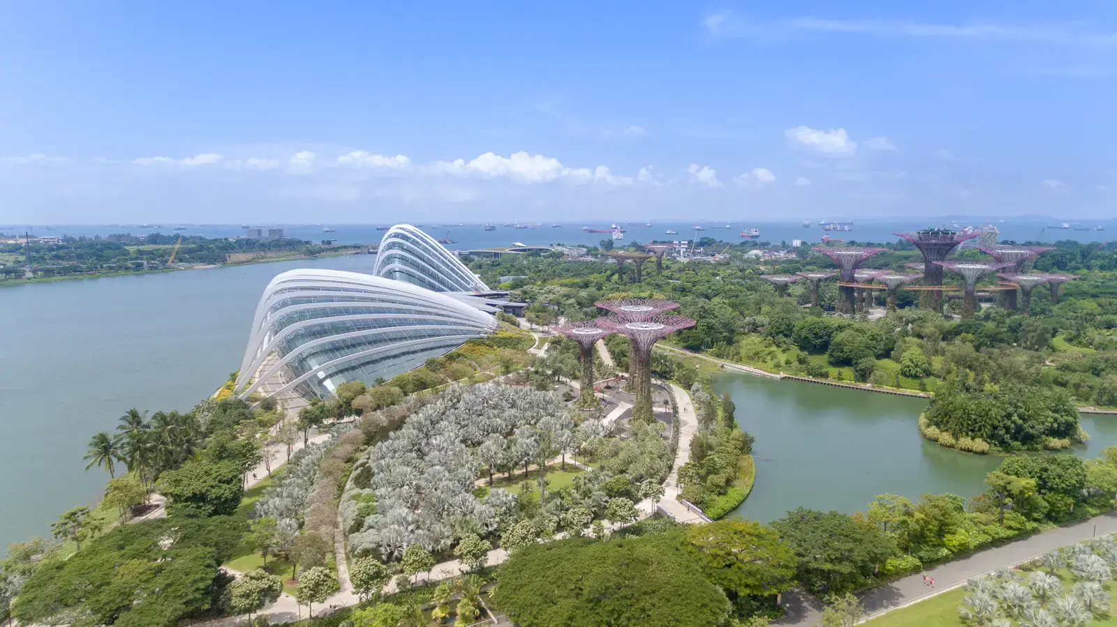 Flower Dome and Cloud Forest Singapore Singapur Singapore Luftbild aerial